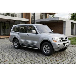 Боковые Подножки Maydos V1 (2 шт., Алюминий и Нержавейка) фото 1