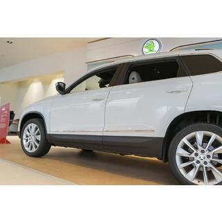 Молдинги Дверей Нержавеющая Сталь Skoda Karoq 2018- гг. фото 1