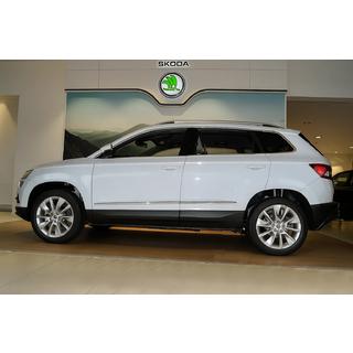 Молдинги Дверей Нержавеющая Сталь Skoda Karoq 2018- гг. фото 3