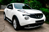 Nissan Juke 2010-2019 гг. Боковые Подножки Allmond Grey (2 шт., Алюминий) фото 1