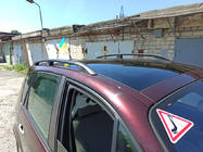 Renault Scenic/Grand 2003-2009 гг. Черные Рейлинги (2 шт) Длинная База (Grande) фото 1