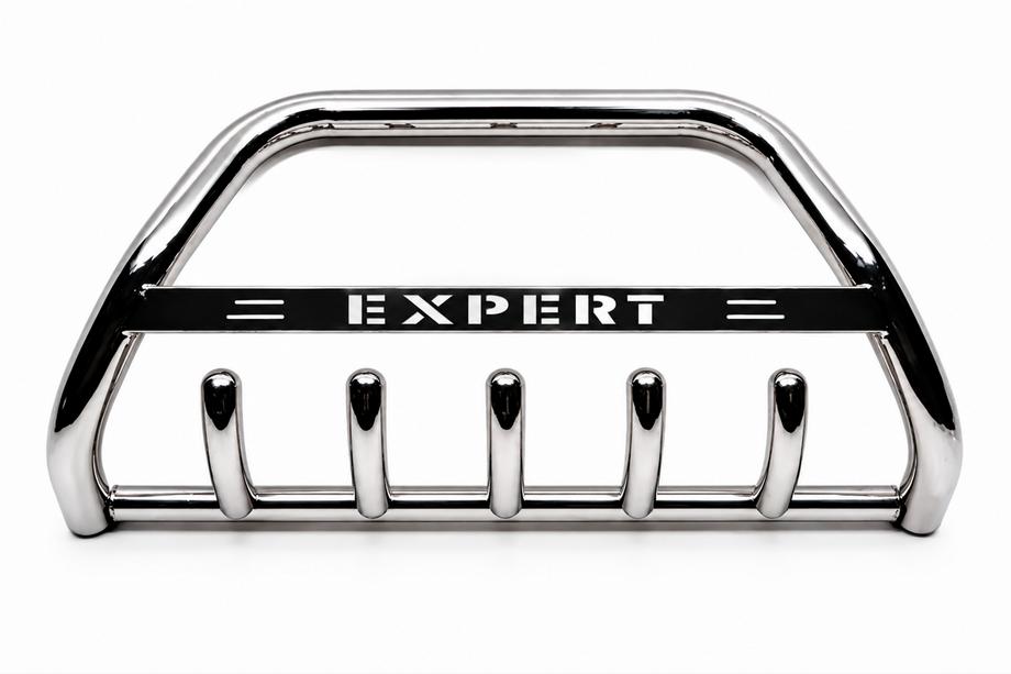 Peugeot Expert 1995-2007 гг. Кенгурятник WT004 Нержавейка Image