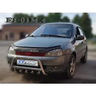 Кенгурятник WT003 (60 мм, нержавейка) Lada Kalina 2004-2011 гг. фото 3