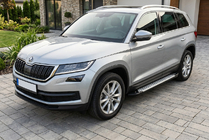 Skoda Kodiaq 2016-2023 гг. Боковые пороги Allmond Grey (2 шт., алюминий) фото 1