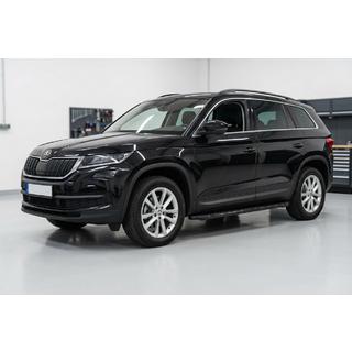 Боковые Подножки Tayga Black (2 шт., Алюминий) фото 1