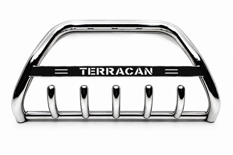 Hyundai Terracan 2001-2007 гг. Кенгурятник WT004 Нержавейка Image
