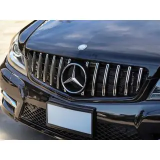 Передняя решетка радиатора GT Panamericana фото 3