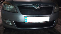 Skoda Fabia 2007-2014 гг. Зимняя накладка на решетку радиатора (2011-2014, верхняя) фото 2