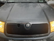 Skoda Fabia 2000-2007 гг. Зимняя накладка на решетку радиатора фото 2