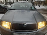 Skoda Fabia 2000-2007 гг. Зимняя накладка на решетку радиатора фото 1
