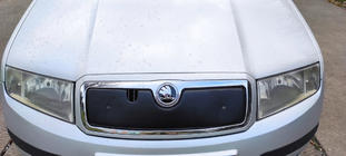Skoda Fabia 2000-2007 гг. Зимняя накладка на решетку радиатора фото 4
