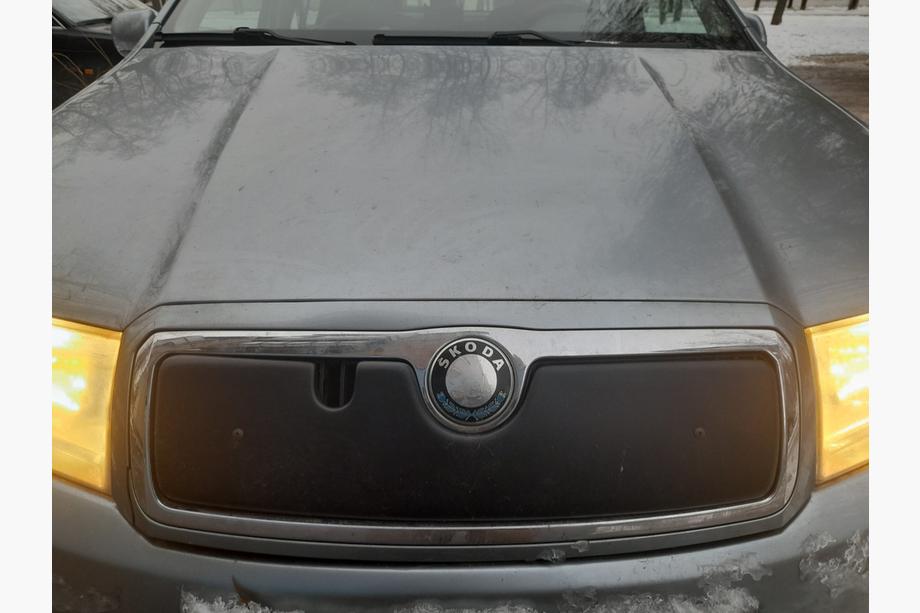 Skoda Fabia 2000-2007 гг. Зимняя накладка на решетку радиатора Матовый Фото 2