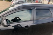 Opel Astra H 2004-2013 гг. Ветровики HB (4 шт, HIC) фото 3