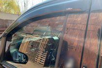 Mercedes Vito/V-class W447 2014- гг. Ветровики на окна (2 шт, HIC) фото 11