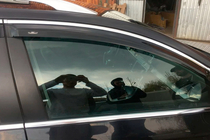 Volkswagen Passat B6 2006-2012 гг. Ветровики с хромированным молдингом SW (4 шт, HIC) фото 9
