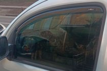 Mercedes Citan 2013-2021 гг. Ветровики вставные (2 шт, HIC) фото 9