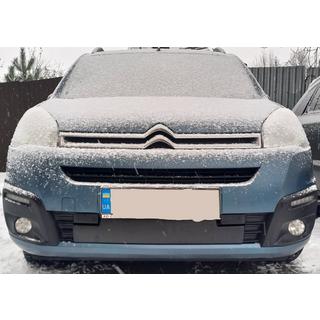 Зимняя решетка (2015-2018)