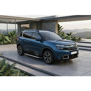 Боковые Подножки RedLine V1 (2 шт, Алюминий) Citroen C5 Aircross 2017-2025 гг. фото 1