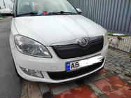 Skoda Roomster 2006-2015 гг. Зимняя накладка на решетку радиатора (2011-2014, нижняя) Матовый фото 6