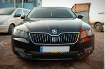 Skoda Superb 2015-2024 гг. Зимняя накладка на решётку (2015-2019, нижняя) фото 1
