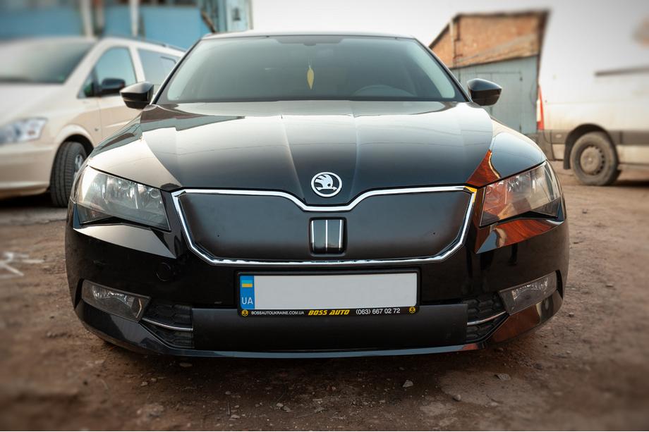 Skoda Superb 2015-2024 гг. Зимняя накладка на решётку (2015-2019, нижняя) Глянцевая Фото 2