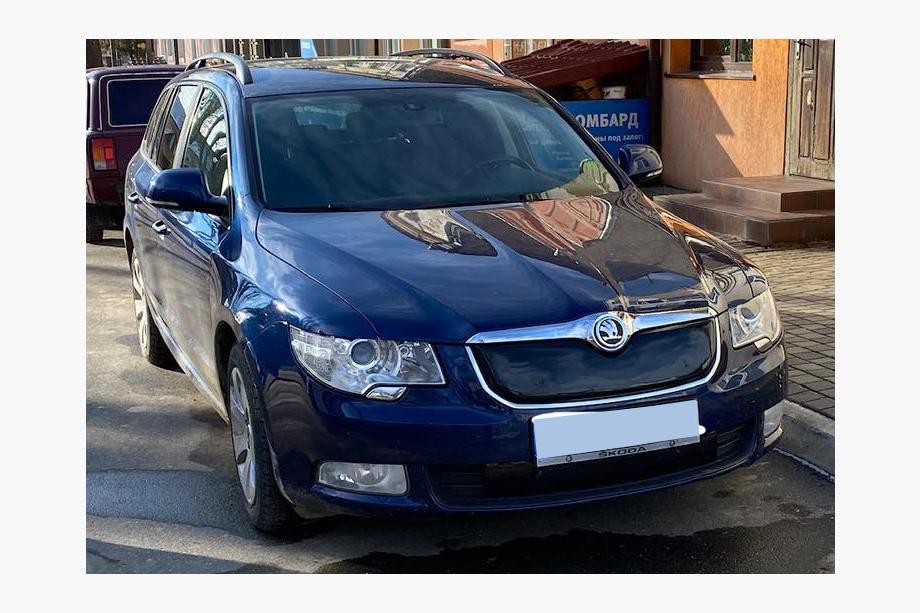 Skoda Superb 2009-2015 гг. Зимняя накладка на решетку (нижняя, 2008-2013) Матовый Фото 7