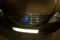 Renault Logan I 2005-2008 гг. Накладки на решетку радиатора из нержавеющей стали Carmos - Турецкая Нержавеющая Сталь фото 3