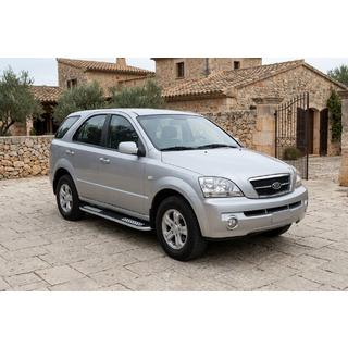Боковые Подножки Tayga V2 (2 шт., Алюминий) фото 1