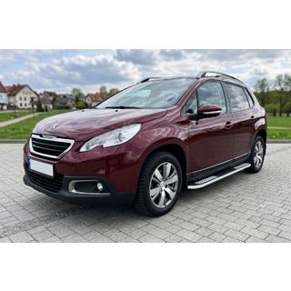Боковые Подножки Tayga V2 (2 шт., Алюминий) фото 1