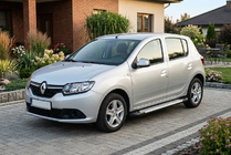 Renault Sandero 2013-2022 гг. Боковые Подножки Allmond Grey (2 шт., Алюминий) фото 1