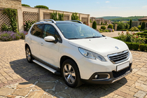 Peugeot 2008 2013-2019 гг. Боковые Подножки Maya V2 (2 шт., Алюминий) фото 1