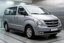 Hyundai H300, H1, Starex 2008-2020 гг. Боковые Подножки Tayga Black (2 шт., Алюминий) фото 1