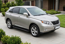Lexus RX 2009-2015 гг. Боковые Подножки Allmond Black (2 шт, Алюминий) фото 1