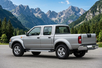 Nissan NP300 1999-2015 гг. Боковые Подножки New Vision Grey (2 шт., Алюминий) фото 1