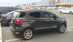 Ford Ecosport 2013-2022 гг. Молдинги дверей нержавейка (4 шт.) фото 1