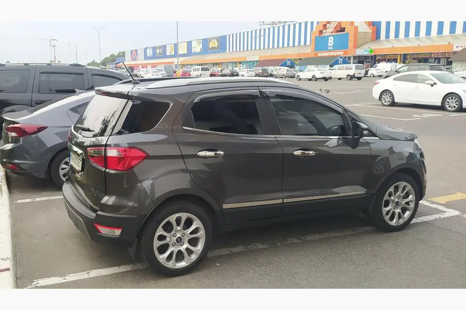 Ford Ecosport 2013-2022 гг. Молдинги дверей нержавейка (4 шт.) Image