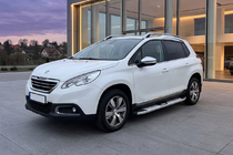 Peugeot 3008 2008-2016 гг. Боковые Подножки Mevsim Grey (2 шт., Алюминий) фото 1