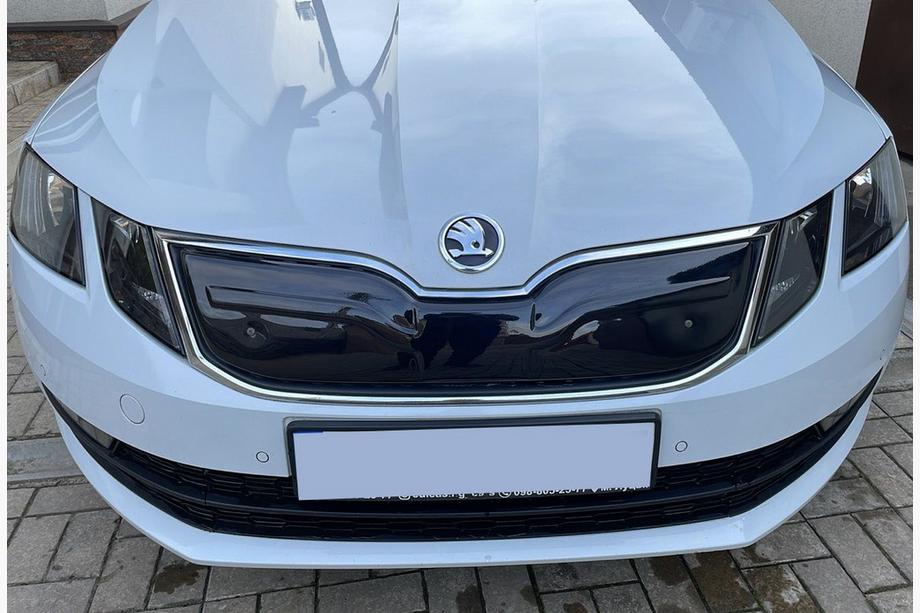 Skoda Octavia III A7 2013-2019 гг. Зимняя решетка (2017-2020) Image