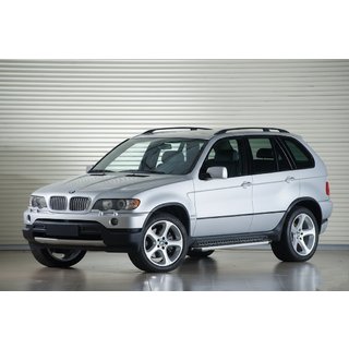 Боковые Подножки Tayga Grey (2 шт, алюминий) BMW X5 E53 1999–2006 гг. фото 1