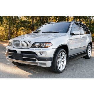 Боковые пороги Tayga Black (2 шт, алюминий) BMW X5 E53 1999–2006 гг. фото 1