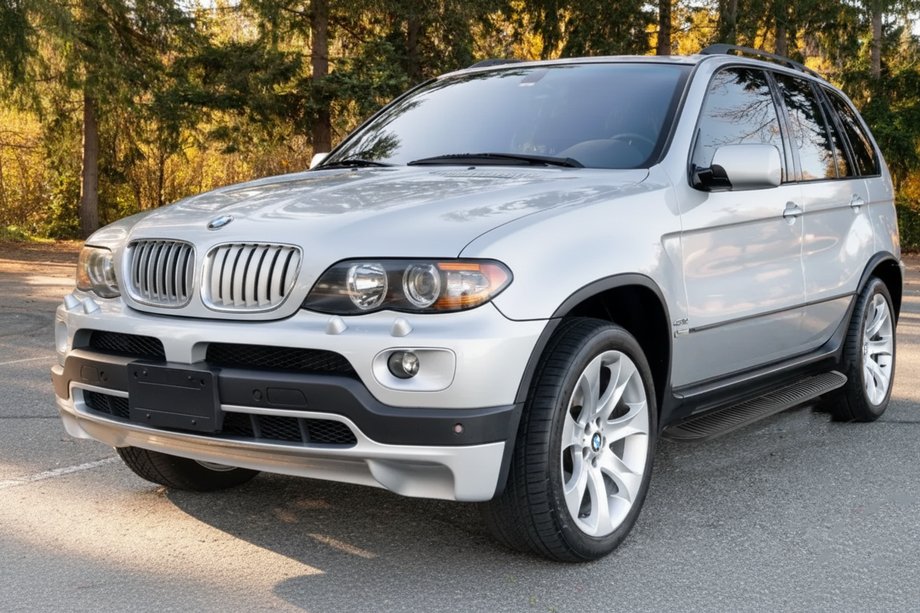 BMW X5 E53 1999–2006 гг. Боковые пороги Tayga Black (2 шт, алюминий) Image
