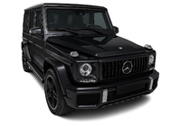 Mercedes G class W463 1990-2018 гг. Передняя Решетка (GT Panamericana, без Хрома) фото 4