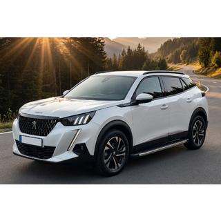 Боковые Подножки BlackLine (2 шт., Алюминий) Peugeot 2008 2019- гг. фото 1