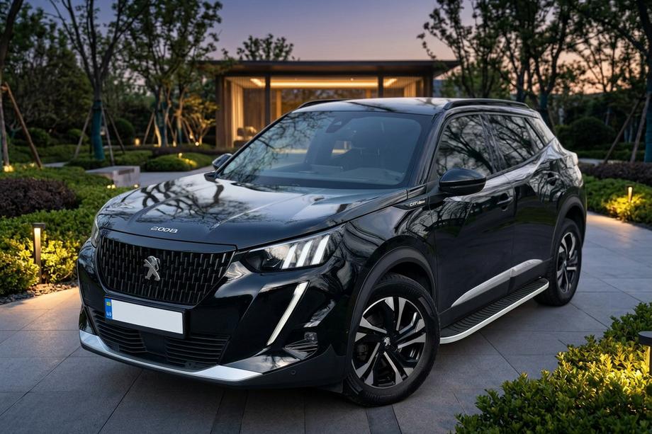 Peugeot 2008 2019- гг. Боковые Подножки Tayga Grey (2 шт., Алюминий) Image