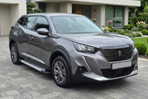 Peugeot 2008 2019- гг. Боковые Подножки Vision New Grey (2 шт., Алюминий) фото 1