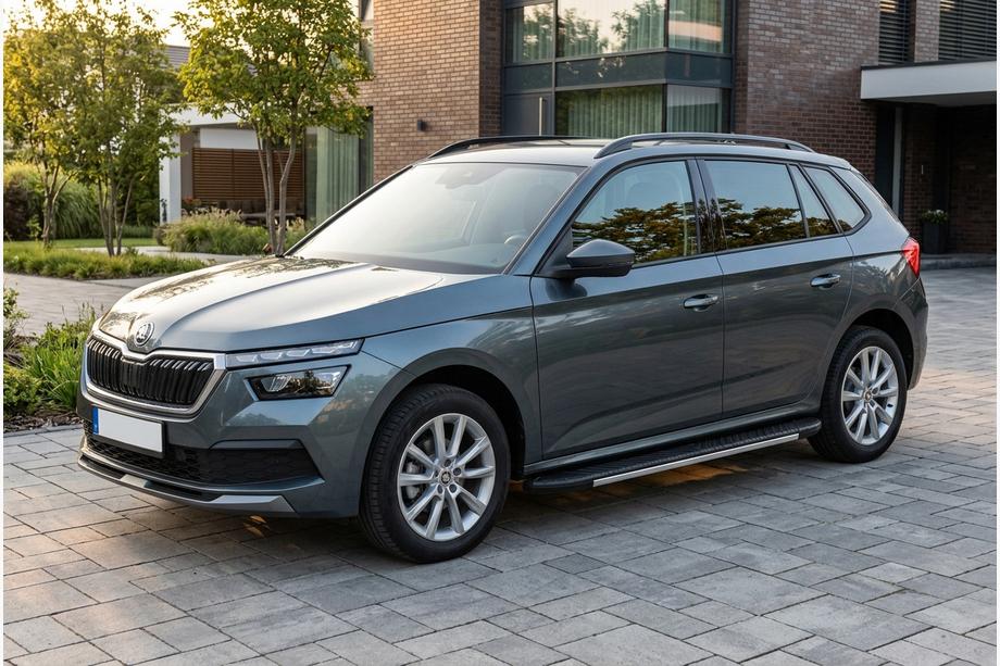 Skoda Kamiq 2019- гг. Боковые Подножки Bosphore Grey (2 шт., Алюминий) Image