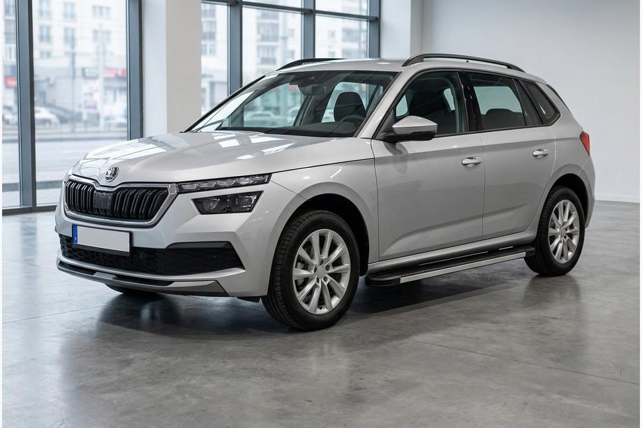 Skoda Kamiq 2019- гг. Боковые Подножки Maya V1 (2 шт., Алюминий) Image