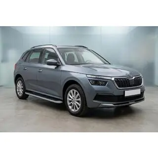 Боковые Подножки Tayga Grey (2 шт., Алюминий) фото 1