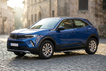 Opel Mokka 2021- гг. Боковые Подножки Duru (2 шт., Алюминий) фото 1
