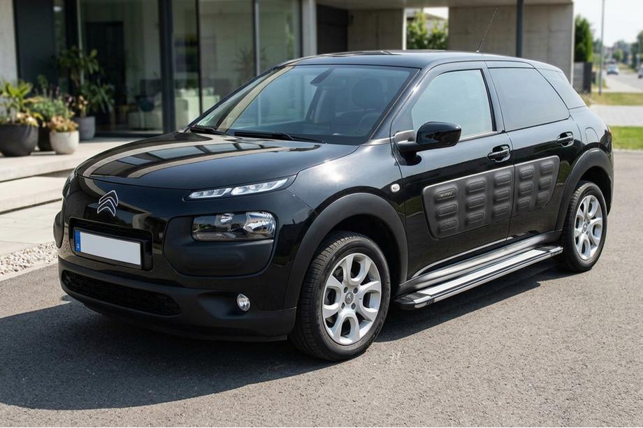 Citroen Cactus 2014-2020 гг. Боковые Подножки Rainbow (2 шт., Алюминий) Image